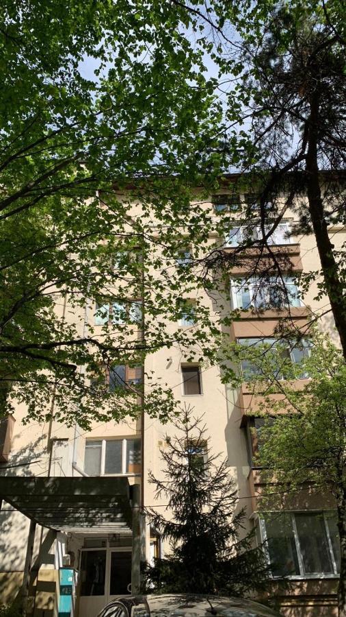 Best Apartment City Hall 苏恰瓦 外观 照片